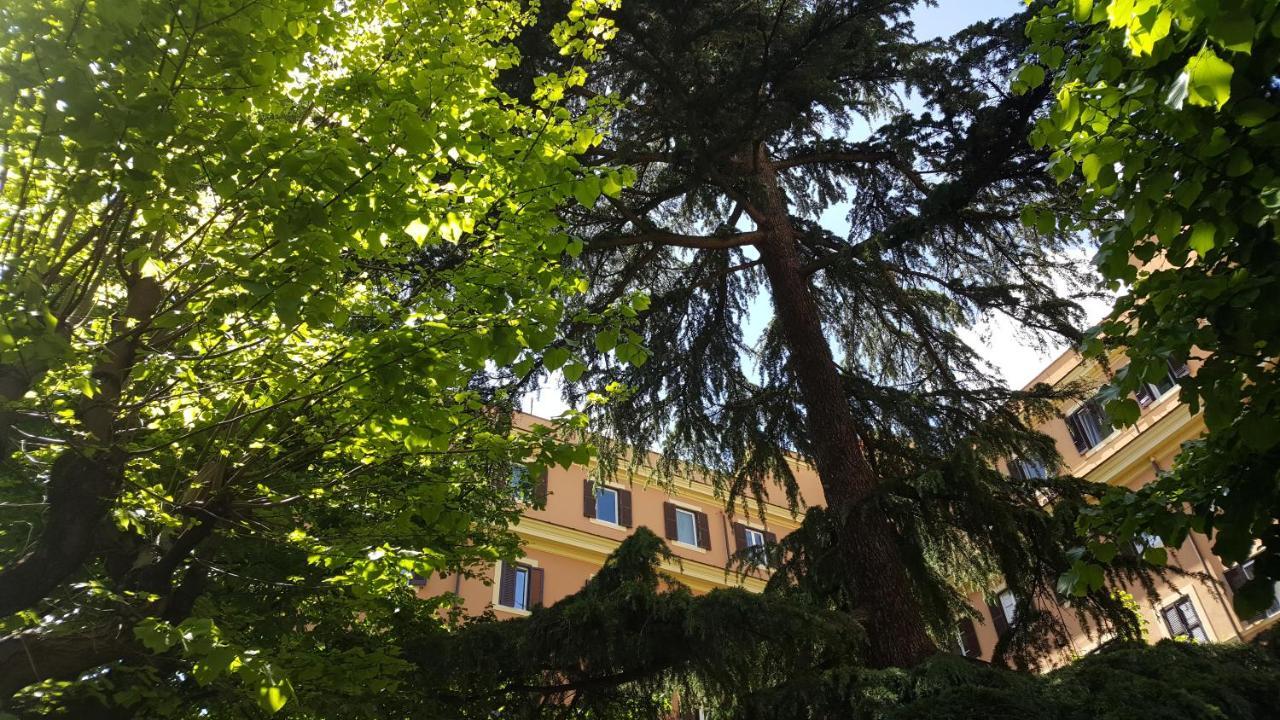 Bed & Breakfast A Casa Di Lia A Roma 외부 사진